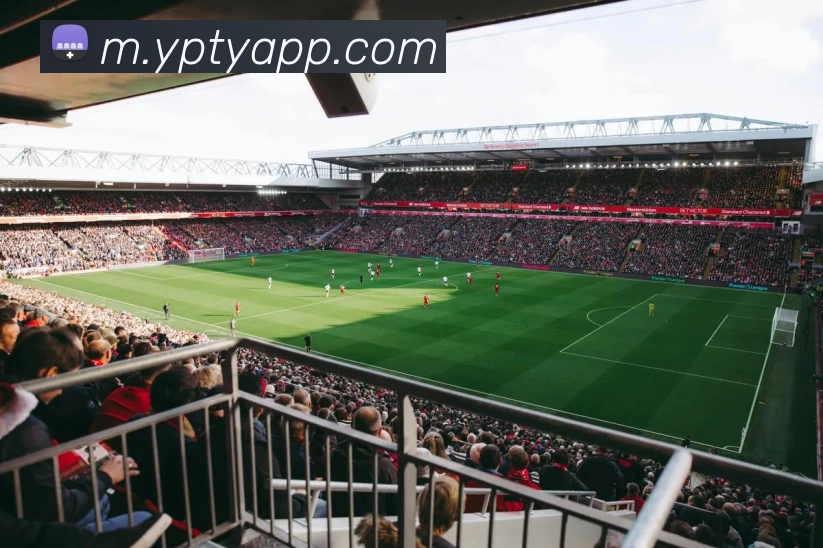 多媒体互动体验